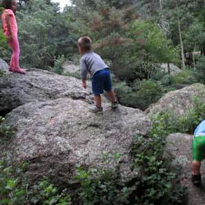 Lots of rocks to climb.