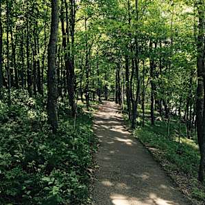 Beautiful trails