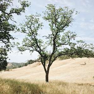 Santa Margarita Lake Recreation Area