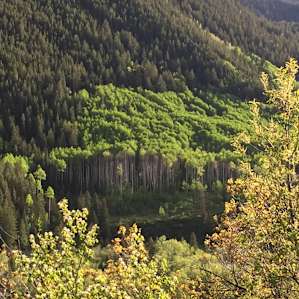 Highway 82 (Independence Pass) above Difficult Campground. June 2015.