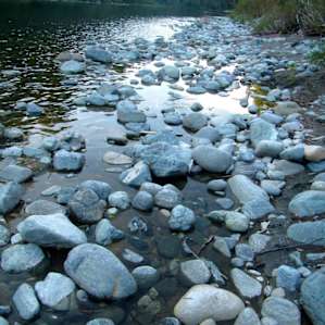 Jedediah Smith Redwoods Campground