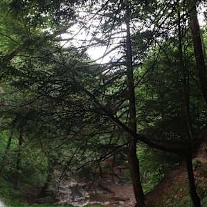 Falls Trail