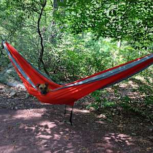 Brix knows how to camp