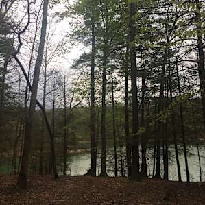 Camp spot just above the lake.