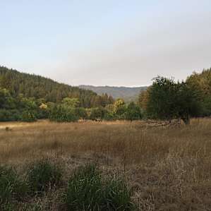 The open field view from the campsites