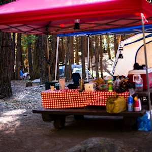 Normal Size Picnic Table
