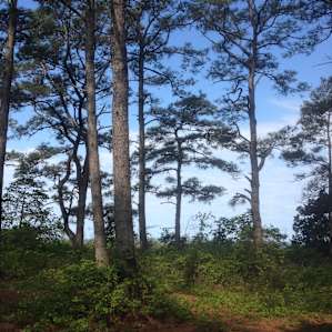 Assateague Island Backcountry Camping