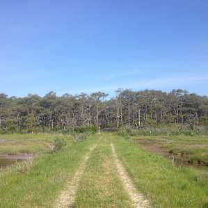 Assateague Island Backcountry Camping Assateague Island