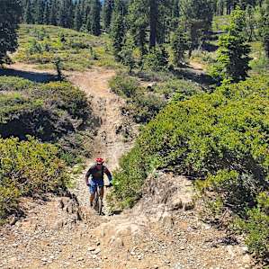 Nearby mountain biking - check out Downieville if camping at Ramshorn!