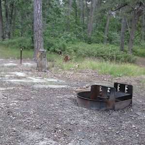 This is Campsite 1 at Lower Forge Campground. There is a fire ring. That's it.