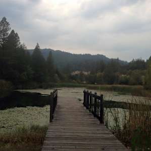 Pier from your campsite pond