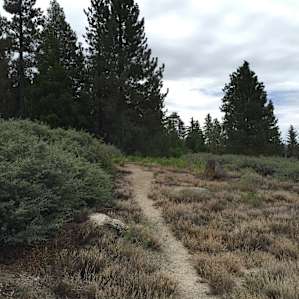 Fern Basin Campground