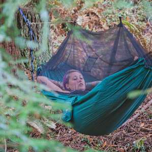Britts hammock amongst the giants