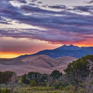 Pinon Flats Campground