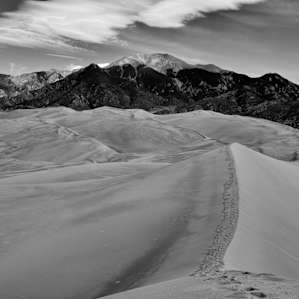 No trails exist in the dunes, so feel free to choose your own adventure!