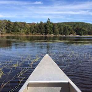 Catskill Catskill