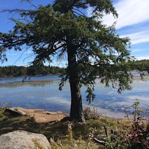 Catskill Catskill