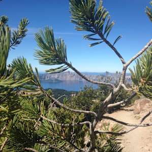 Mazama Campground