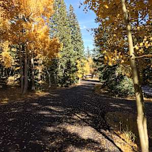 Wheeler Peak Campground