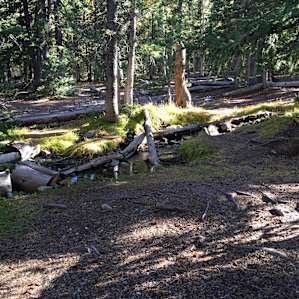 Wheeler Peak Campground
