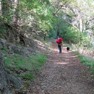 On the trail to River Back Pack Camping Ground. Photo by Lisa Rawlinson.