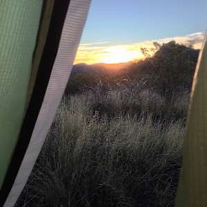 Fresno Vista sunrise. Photo by Lisa Rawlinson.