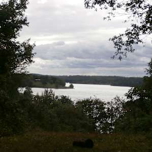 View from the overlook bench on the horse trail