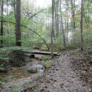 MaryAnn Furnace trail...about 3 plus miles. Nice but it doesn't go to the actual site of the furnace (which is gone anyways)