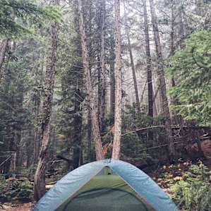 tent forest lodging