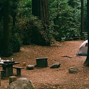 Pfeiffer Big Sur Pfeiffer Big Sur