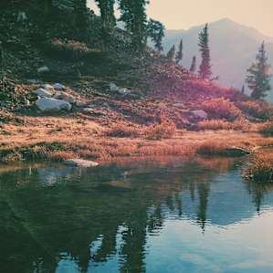 Lower Monarch Lake