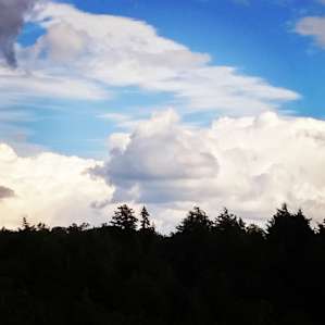 Saranac Lake Islands Campground