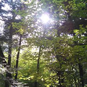 On the way up Prospect Mountain