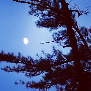 Saranac Lake Islands Campground