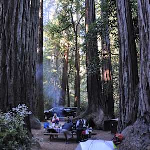 Big Basin Redwoods Big Basin Redwoods