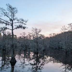 Saw Mill Pond at dusk