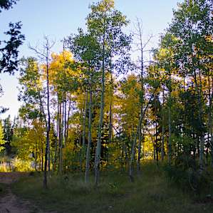 The view I had after hiking 12 miles...definitely made my evening