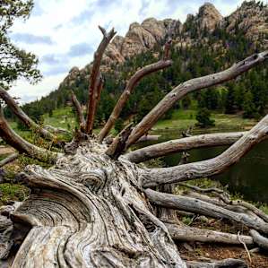 Rocky Mountain Rocky Mountain