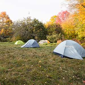 Waking up in the meadow!