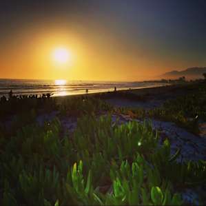 Carpinteria Carpinteria