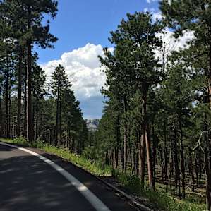 The Perfect Drive