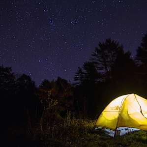 tent forest stars