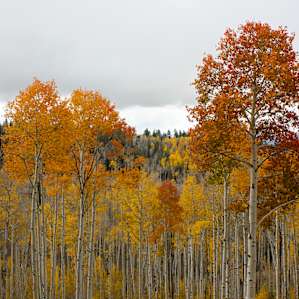 The colors...are basically too good to be true or even capture through just a photography!