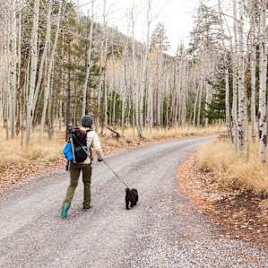 The road leading to the Inner Basin Trailhead