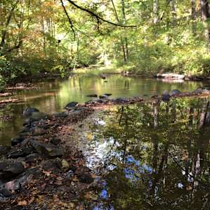 Pine Glen Recreation Area