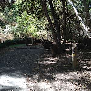 Site #34 also looked nice.