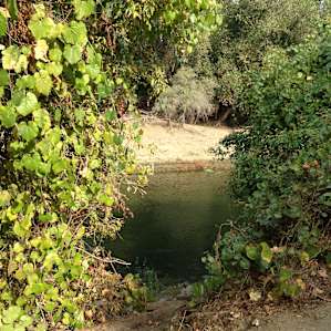 The view from site #25
