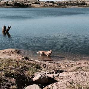 Cove Campground