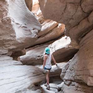 Anza-Borrego Anza-Borrego