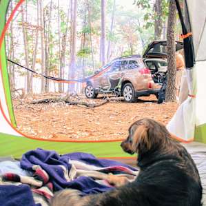 Eagle Drive Campground